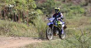 yamaha trail