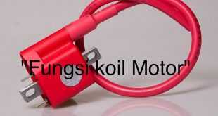 Fungsi Koil Motor