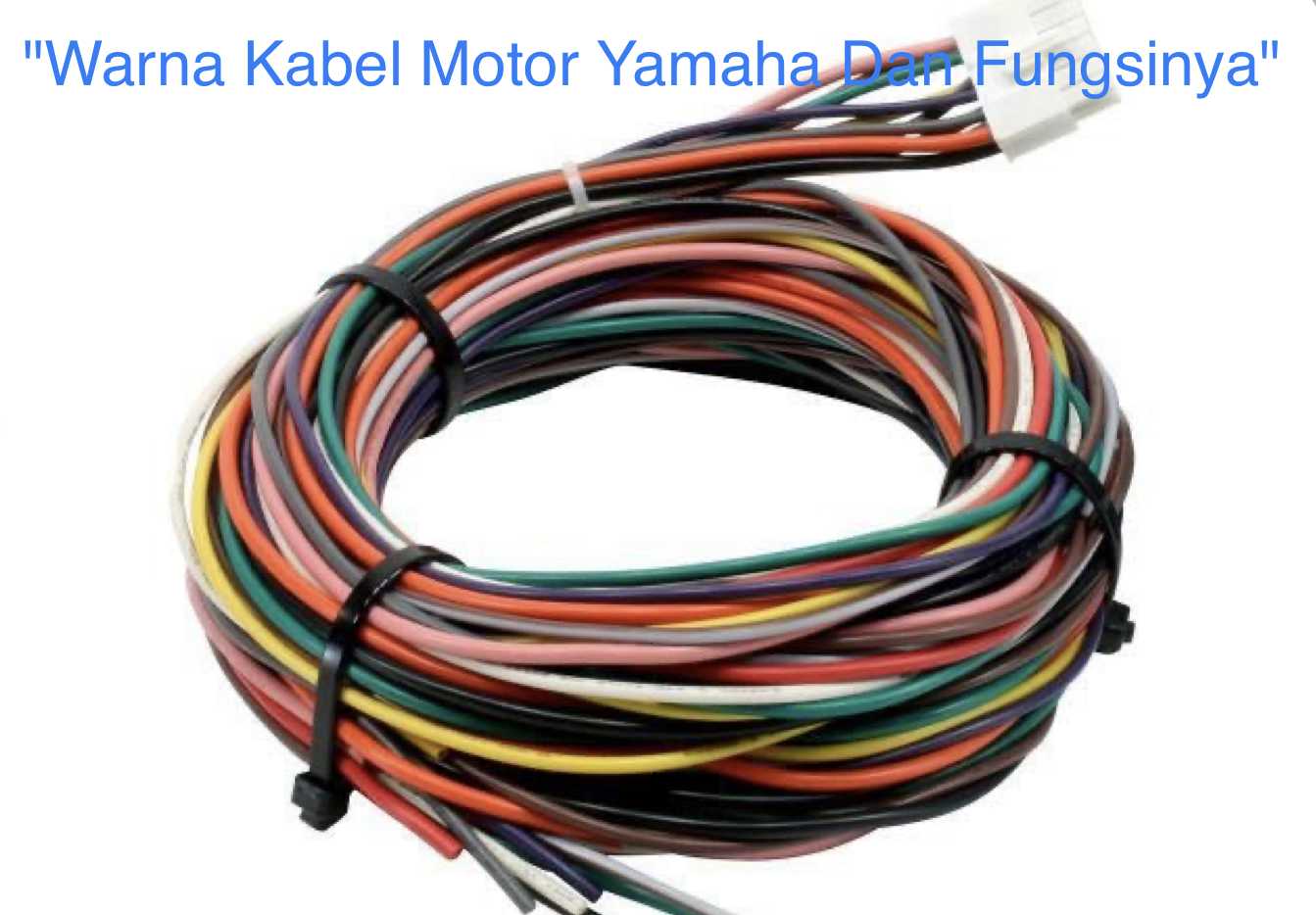 Warna Kabel Motor Yamaha Dan Fungsinya | Warta OTO
