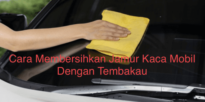 Cara Membersihkan Jamur Kaca Mobil Dengan Tembakau