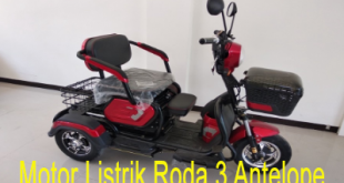 Motor Listrik Roda 3 Antelope