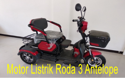 Motor Listrik Roda 3 Antelope