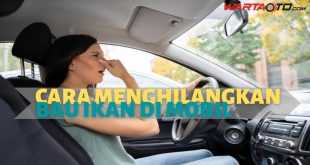 Cara Menghilangkan Bau Ikan Di Mobil