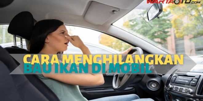 Cara Menghilangkan Bau Ikan Di Mobil