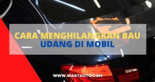 Cara Menghilangkan Bau Udang Di Mobil