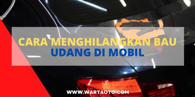 Cara Menghilangkan Bau Udang Di Mobil