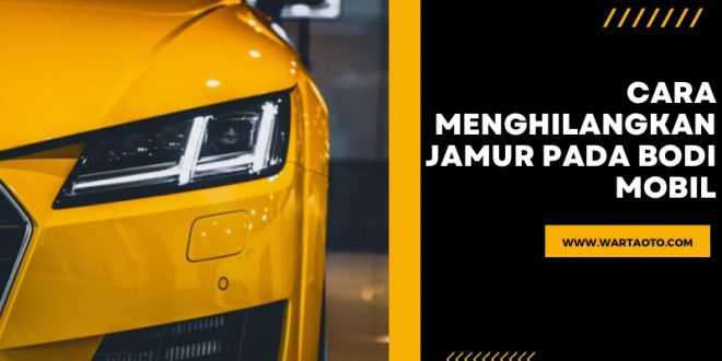 Cara Menghilangkan Jamur Pada Bodi Mobil