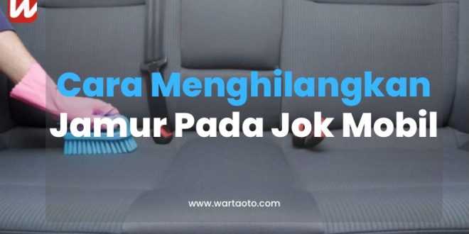 Cara Menghilangkan Jamur Pada Jok Mobil