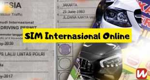 SIM Internasional Online