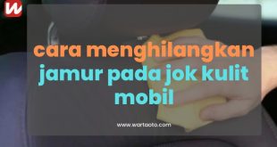 cara menghilangkan jamur pada jok kulit mobil