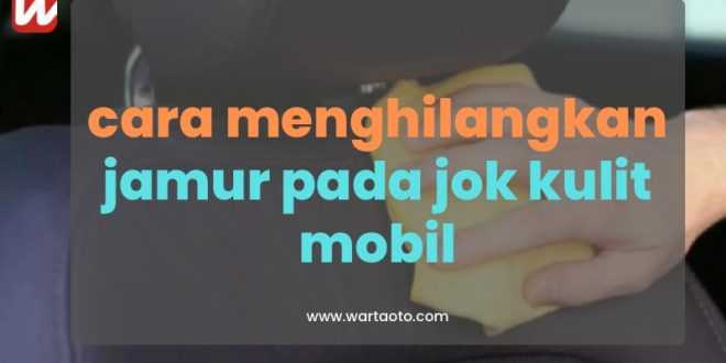 cara menghilangkan jamur pada jok kulit mobil