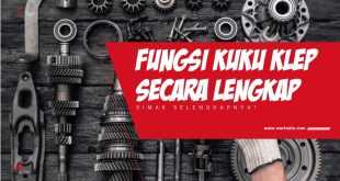 Fungsi Kuku Klep