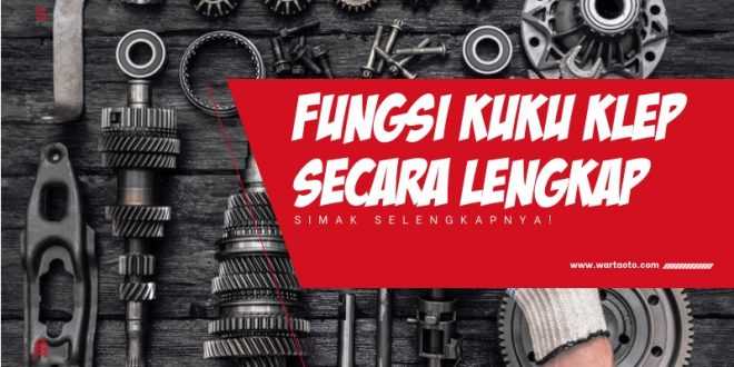 Fungsi Kuku Klep