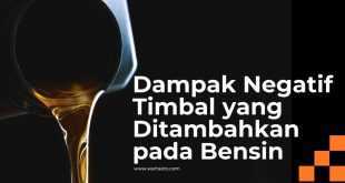 Dampak Negatif Timbal yang Ditambahkan pada Bensin